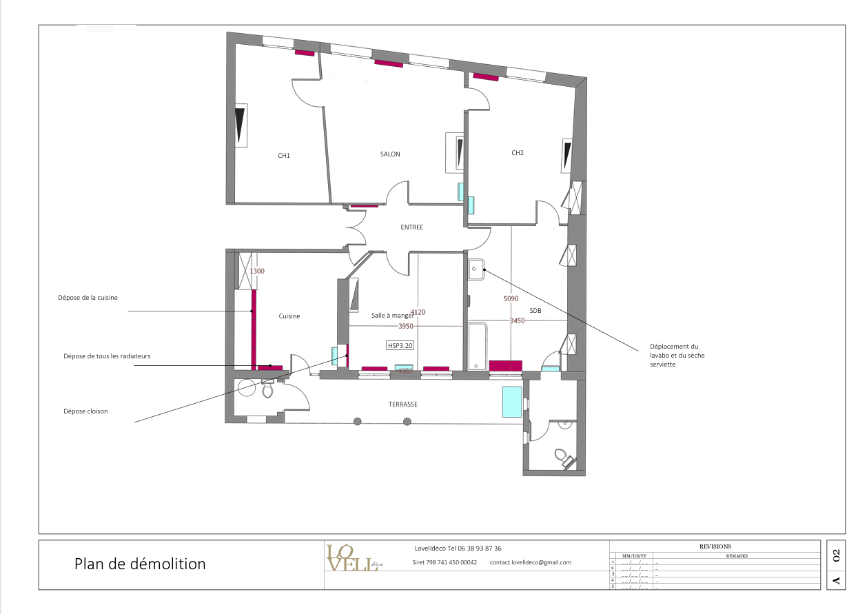 Plan 2D SketchUp de l'existant et de démolition 
